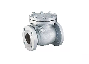 Check Valves